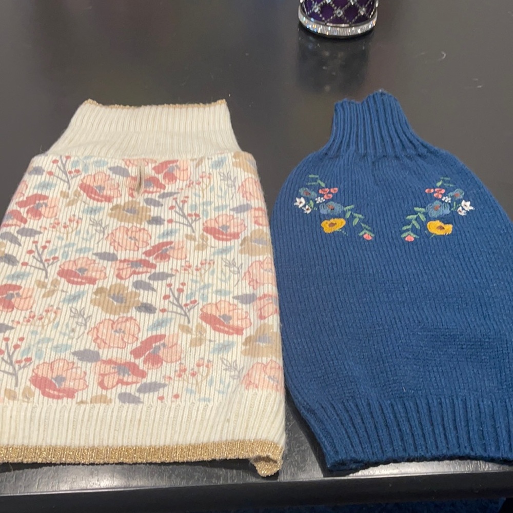 dog apparel